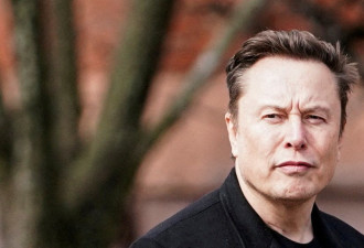马斯克率领的政府效率部成员 都有哪些人