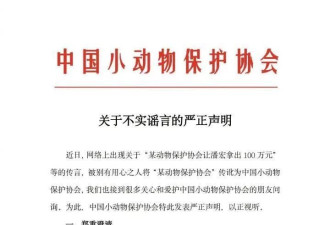 千万粉丝网红潘宏下架所有视频 此前曾陷入虐狗争议