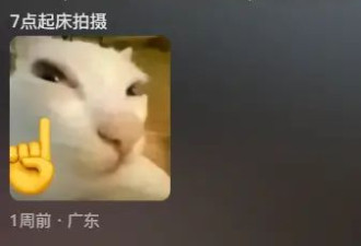 “从鸡打鸣干到狗睡觉”，90岁高能量老奶卷翻年轻人
