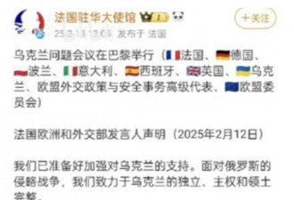 背水一战！法国官宣大事 美国被排除在外
