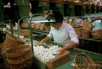 实拍1985年杭州丝绸厂 国营大厂饭菜让人羡慕
