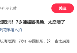 暴雪再杀到 加国大批航班取消延误 华人一家被困