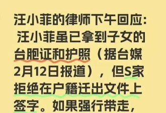 汪小菲孩子即将落户内地，大S10亿财产S妈或得9亿，徐家放心了
