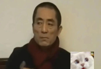 还是张艺谋敢说，揭露娱乐圈真相，被网友怒怼，扳石头砸自己的脚