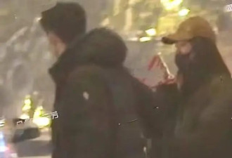 杨采钰被爆怀孕！跟刘亦菲干爹分手后新男友...