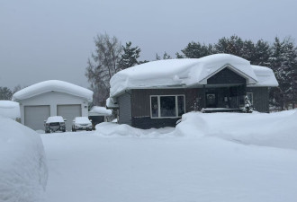 冬季风暴升级：多伦多迎40厘米降雪，TTC暂停56个公交站点