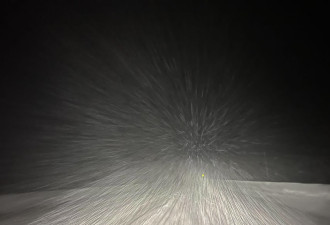 冬季风暴升级：多伦多迎40厘米降雪，TTC暂停56个公交站点