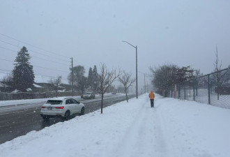 冬季风暴升级：多伦多迎40厘米降雪，TTC暂停56个公交站点