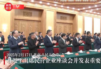 马云 任正非等现身座谈会 习近平发表重要讲话