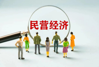这场超高规格的民营企业座谈会,透露出哪些信息？