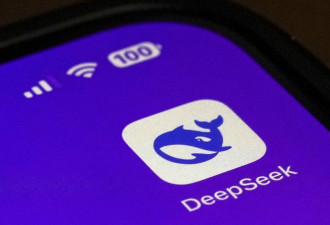 韩国暂时下架DeekSeek 等候对其用户数据处理调查