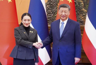 他们会是习的接班人！？英媒指出关键两点