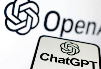 DEI变美国科技业禁语？OpenAI也撤多元承诺页面