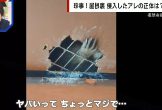 天花板突“伸出一只手”吓坏住户 专家警告：千万别靠近