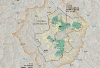 “能喝的古董” 中国有片世界顶级古茶林