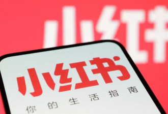中国机构暗示小红书：引入国资股东或让IPO更顺利