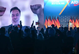 美媒：马斯克推动全球极右翼运动 影响6大洲政局