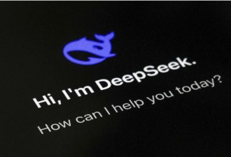 DeepSeek颠覆AI世界 只是第一炮