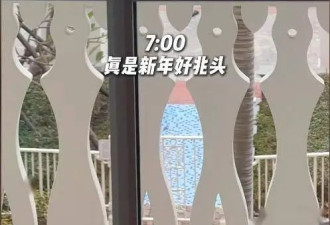 李思思带俩娃游香港，住四千一晚豪华酒店，首谈大学经历暴露家境