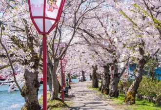 日本近期旅游好去处 带你开启非凡东瀛行