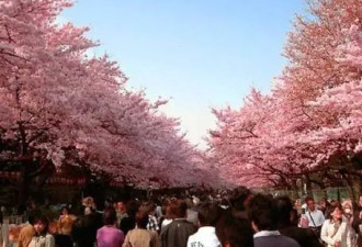 日本近期旅游好去处 带你开启非凡东瀛行