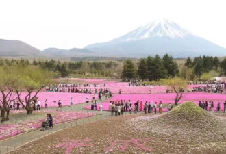 日本近期旅游好去处 带你开启非凡东瀛行