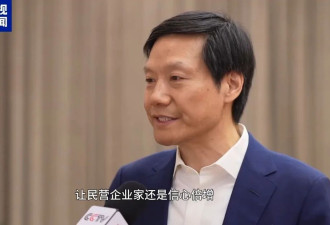 雷军：下决心把AI技术落到各个终端产品上