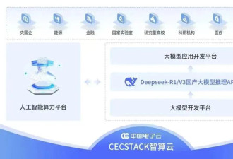 多地政务接入DeepSeek,网友:混日子的要下岗了