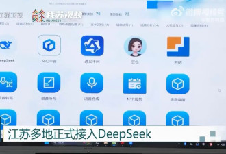 多地政务接入DeepSeek,网友:混日子的要下岗了