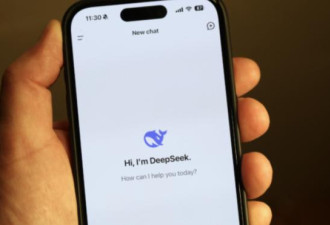 八大名校联盟宣布封锁DeepSeek