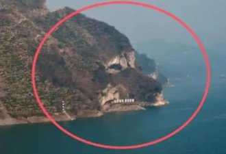 太像了 湖北“小狗山”火爆网络
