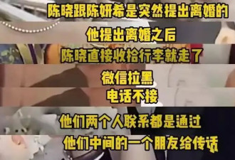 陈晓陈妍希离婚！婚变细节被扒
