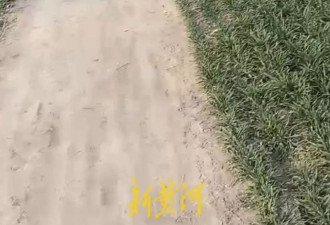 河南19岁女生遭侵犯逃跑时落水 嫌疑人阻挡其上岸致溺亡
