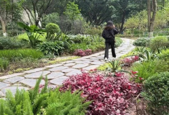 两个孩子被前夫扔下楼坠亡后，她做回女儿这一年