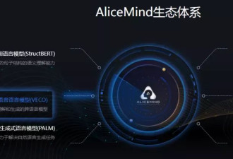 上热搜的“程序媛”回应：我不是天才少女