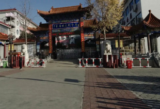 武校频繁买地背后：登封与武校，谁更需要谁？