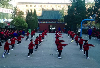 武校频繁买地背后：登封与武校，谁更需要谁？
