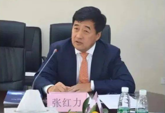 前中国工商银行副行长张红力收贿8亿 被判死缓