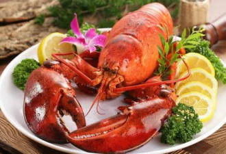活煮龙虾好残忍？科学家首度证实"它们经历剧痛"