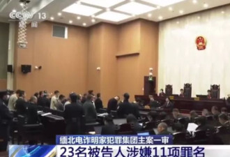 华人在东南亚组织犯罪猖獗 助长当地反中情绪