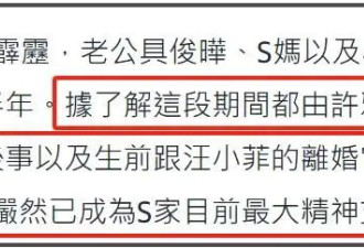 许雅钧被曝趁乱让私生子上位，台媒称小S以泪洗面，失去大S撑腰
