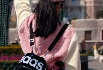 文章俩女儿去迪士尼玩，16岁爱马像马伊琍