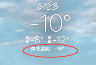 多伦多大批华人寒风排队2小时!扫空货架险些开打!同胞直呼"丢脸"!