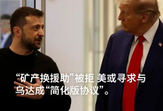 "矿产换援助"被拒 美或寻求与乌达成"简化版协议"