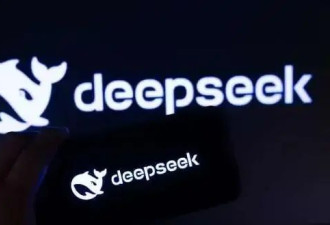DeepSeek的造假能力，堪称一绝
