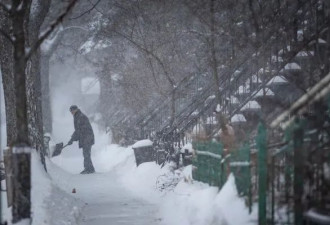 谁该清理门前的雪，房东还是租客？法律是这样规定的！