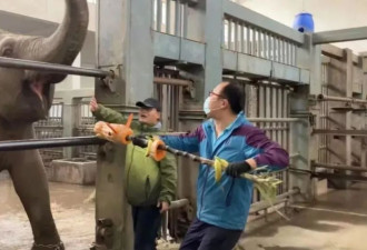 剑桥大学毕业海归后，我选择了在动物园“铲屎”