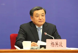 曾任市委书记、州委书记、杨洪波主动投案