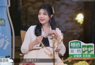 陈晓陈妍希刚离婚，内幕就被拍出来了