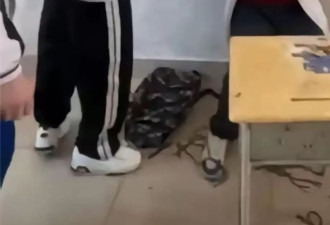 街道办回应初中生遭霸凌事件！曾多次宣讲反校园欺凌